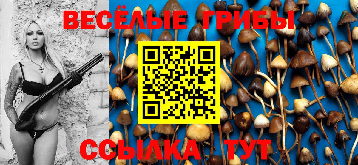 Псилоцибиновые грибы прущие грибы  Вход с VPN  Камышин  Галлюциногенные грибы Psilocybine cubensis 